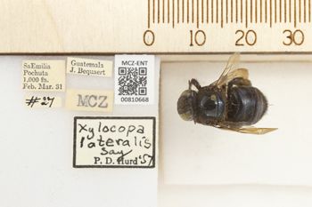 Media type: image;   Entomology 810668 Aspect: labels